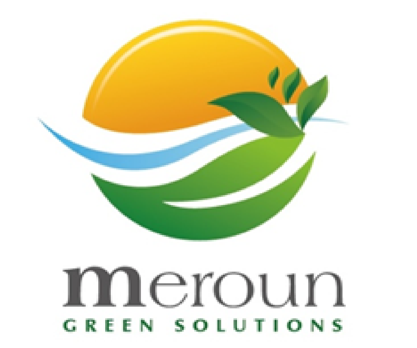 Meroun Green Solution (MGS)